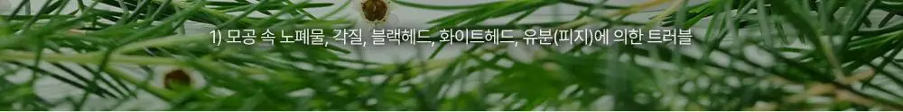 [모공/피지 클렌징] 티엘스 화이트 티트리 아크 플러스 팩클렌저 100ml 상세페이지 2